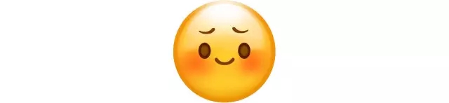 微微皱起的八字眉头,让人不禁浮想起「皱眉小姑娘」的表情包嗯,除了嘴