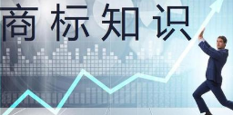 三星、LG在美注册“ QNED”商标均未成功