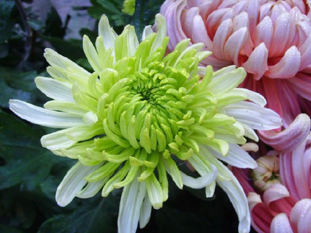 你可能还不知道的国内外注册商标的奇葩禁忌