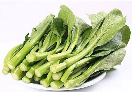 “蔬菜王”欲注册商标创品牌