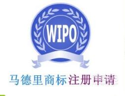 国际商标注册到底能节省多少费用？