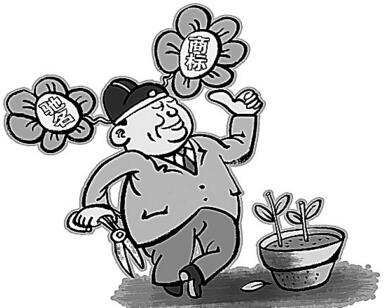 广东省贯标认证企业达569家，贯标工作成效显著