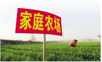 “家庭农场”力量大 已注册防伪商标