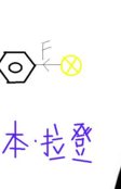 浙江义乌老板申请“本-拉丹” 被专家劝退
