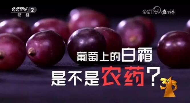 商标价值高，侵权成本低，这个3.15又有多少品牌中枪了？