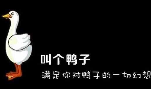 what？“叫个鸭子”商标注册成功了，那“叫了个鸡”怎么办？