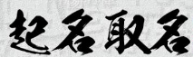 商标如何取名字通过率高?