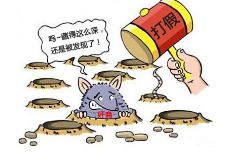 3人假冒国内知名企业商标 造假名牌洗衣粉被批捕 涉案金额达46万余元