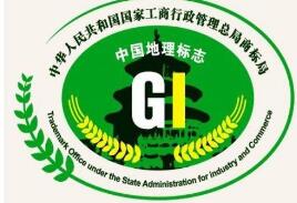 地理标志证明商标注册方案是什么