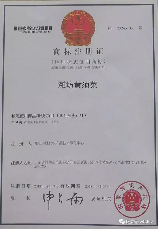 牛!滨海黄须菜成了国字号地标产品