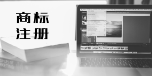 企业注册商标需要准备什么材料?