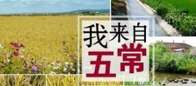 我国典型的集体商标都有哪些