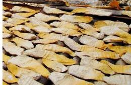 建瓯笋干”获国家地理标志集体商标