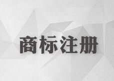 注册商标的续展、变更、转让和使用许可