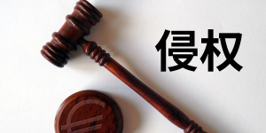 专利侵权案如何取证?