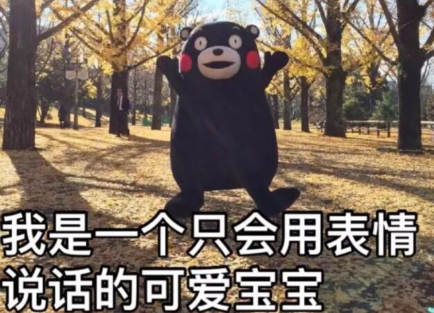 一只来自日本的熊，在中国“摔”了好几次...