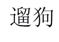 宠物背包属于商标哪个类别?