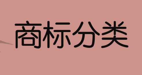 家务服务属于国际商标分类的第几类注册商标？