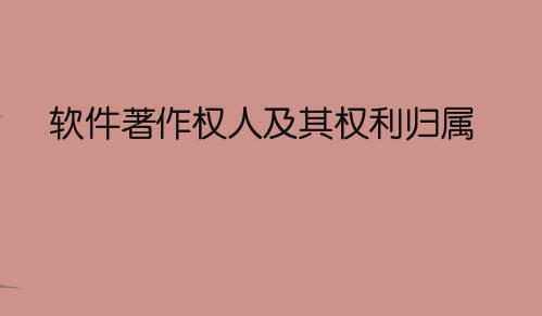软件著作权人及其权利归属