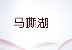 马嘶湖，39类 运输贮藏商标转让推荐