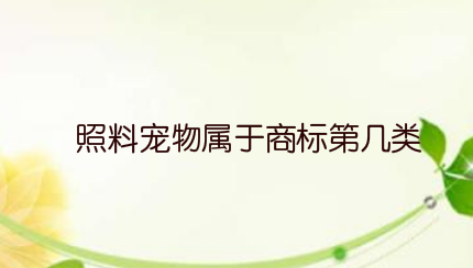 临时照料宠物属于国际商标分类的第几类注册商标？
