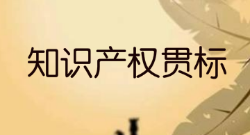 蚌埠市淮上区：驰名商标奖励80万，贯标奖励2.5万