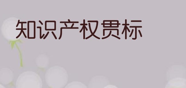 2021年深圳市宝安区发明专利资助、知识产权贯标奖励