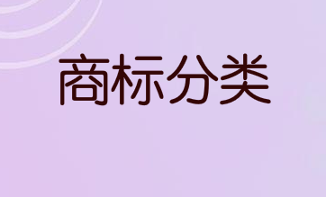 安全及防盗警报系统的监控属于国际商标分类的第几类注册商标？