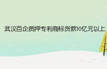武汉百企质押专利商标贷款10亿元以上