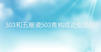 503和五粮液503竟构成近似商标？