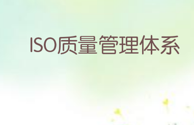 ISO质量管理体系大致包括以下十二个层面的内容
