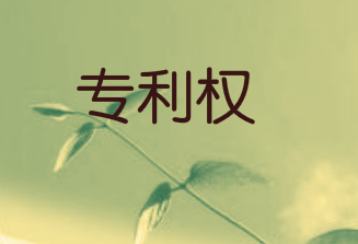 专利权人能否自行申请专利权无效以及不授予专利权的对象有哪些