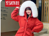 羽绒服品牌商标图案大全赏析及商标分类介绍