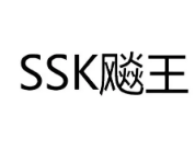 U盘品牌商标图案大全赏析