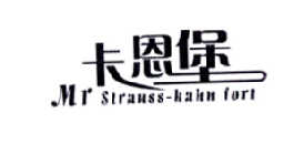 卡恩堡 MR STRAUSS-KAHN FORT