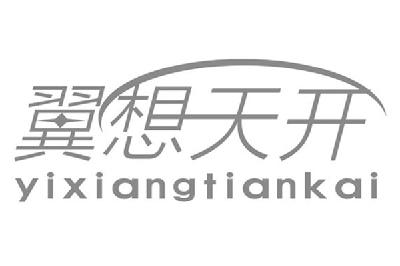 翼想天开