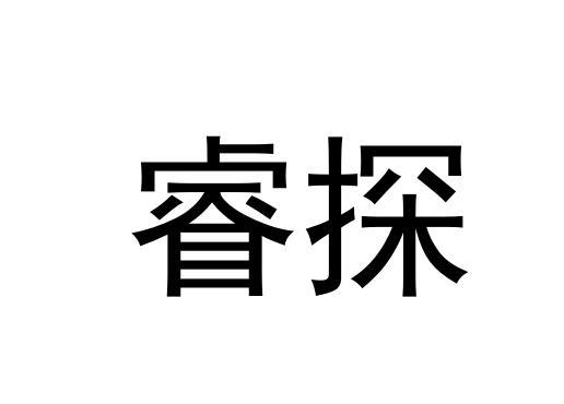 睿探