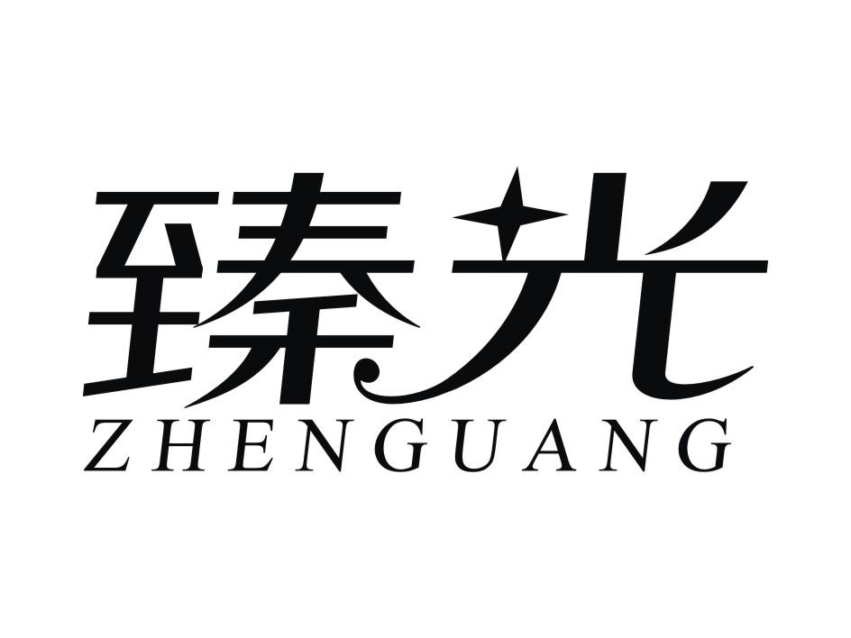 臻光