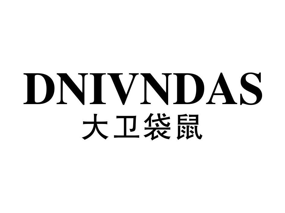 大卫袋鼠 DNIVNDAS
