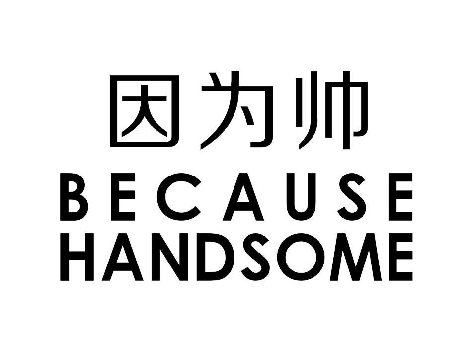 因为帅 BECAUSE HANDSOME