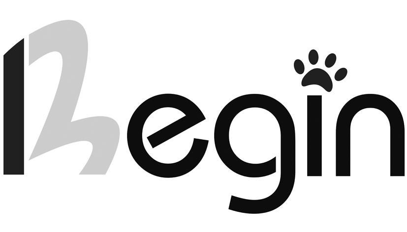 BEGIN