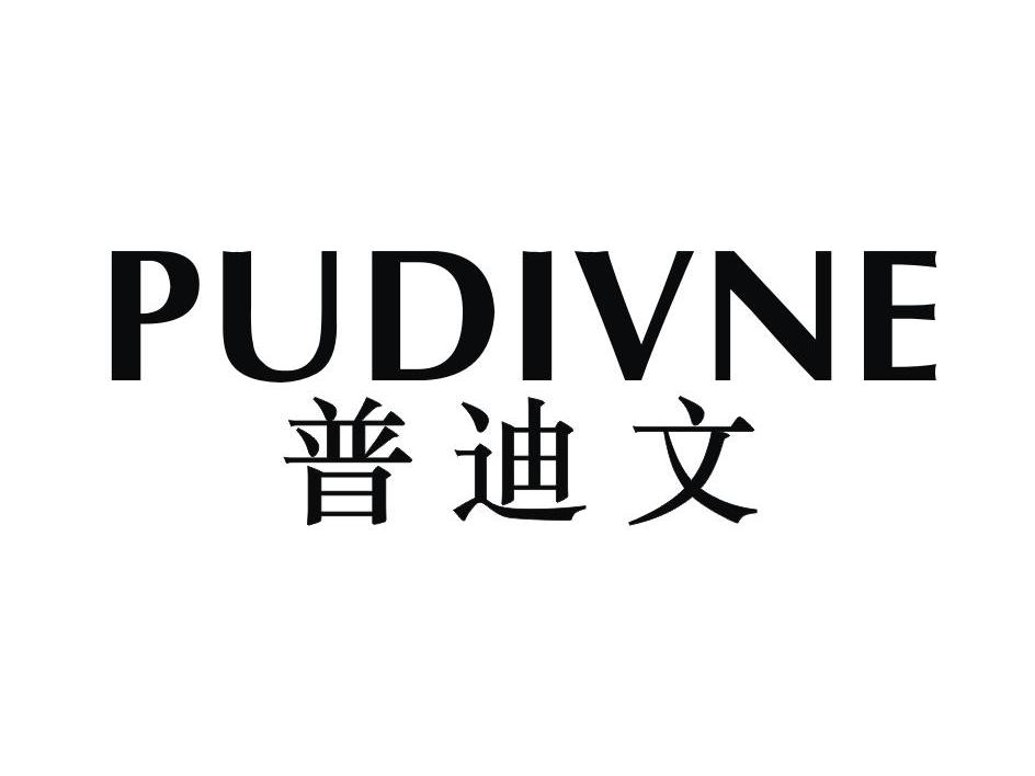 普迪文 PUDIVNE