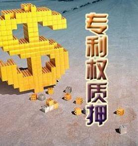 专利权质押贷款要什么材料