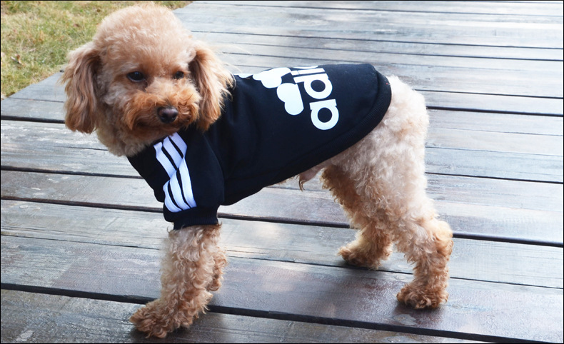 Adidas还有宠物服装支线Adidog? 其实是商标侵权