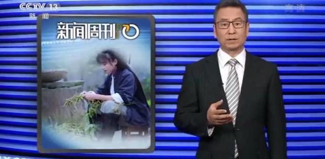 月收入千万,背后公司早已为网红李子柒注册百余件商标