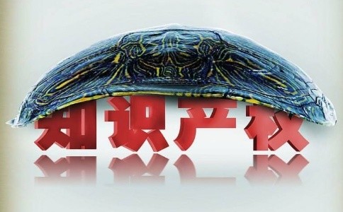 电商知识产权保护如何攻克难关？