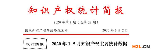 2020年1-5月知识产权主要统计数据