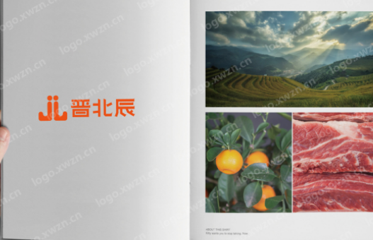 设计一个晋北辰的logo设计，要求logo去繁就简