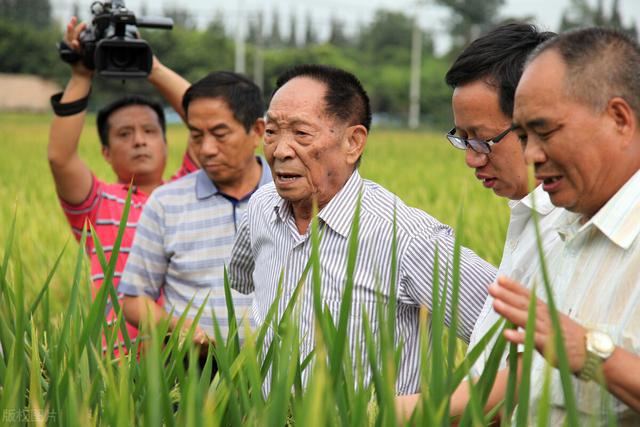 2021年5月25日“东方神农”毋庸置疑！面对袁老杂交技术，美国都要乖乖交专利费