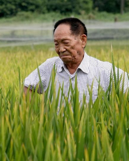 2021年5月25日“东方神农”毋庸置疑！面对袁老杂交技术，美国都要乖乖交专利费